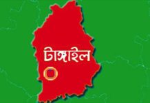 কালিহাতীতে জমি বিরোধের জেরে ছোট ভাইয়ের হামলায় বড় ভাই আহত