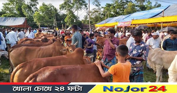 Gorur Haat