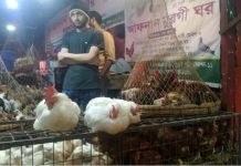 ব্রয়লার মুরগি কেজিতে বেড়েছে ১৫ টাকা, চড়া পেঁয়াজের বাজারও