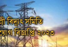 পল্লী বিদ্যুৎে নিয়োগ, আবেদন করা যাবে এইচএসসি পাসেই