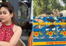 গরুর ছবি প্রকাশের পর কত নোংরা নোংরা কথা শুনেছি: ভাবনা